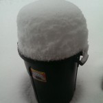 8 plus inches of snow on trashcan